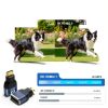 AUXNIU Mini HDMI to HDMI Converter-3
